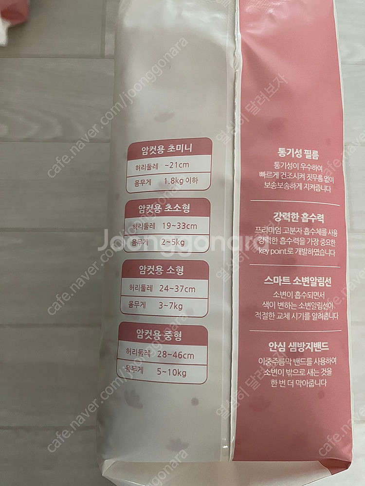 베베페페 반려견 강아지 기저귀 (암컷, 소형)--2