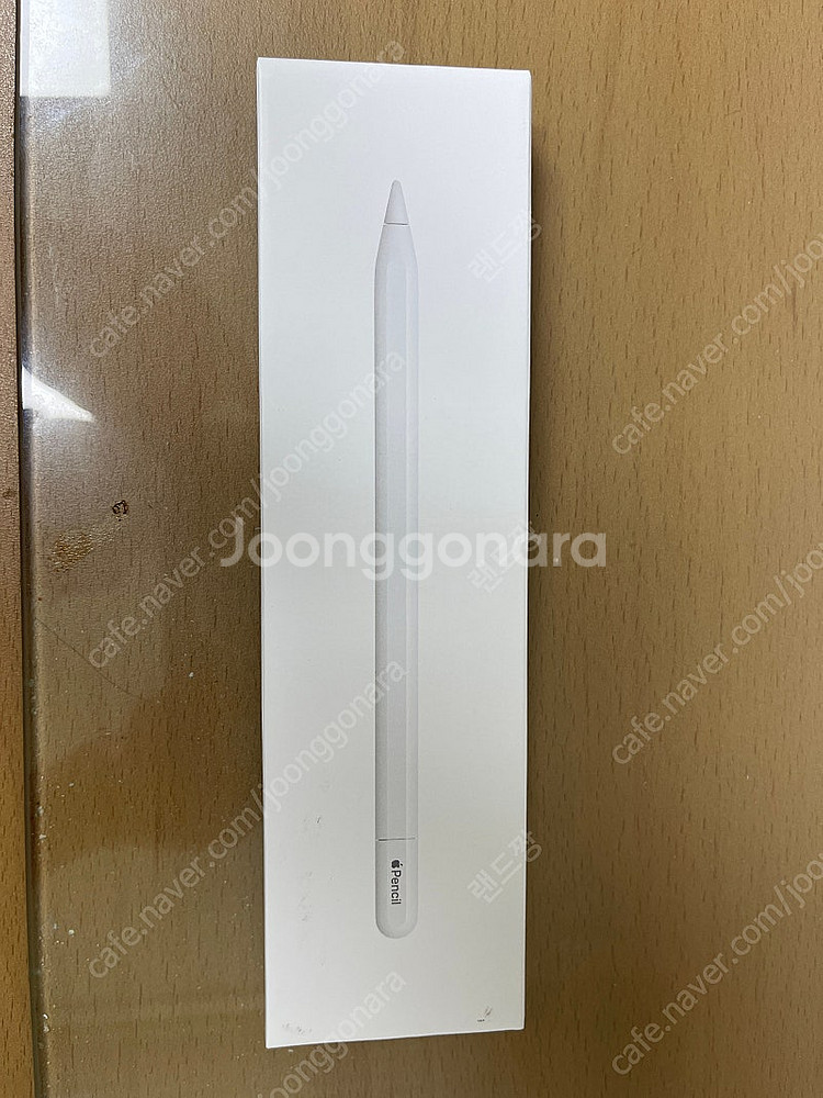 애플펜슬 (USB-C) Apple Pencil (USB...--0