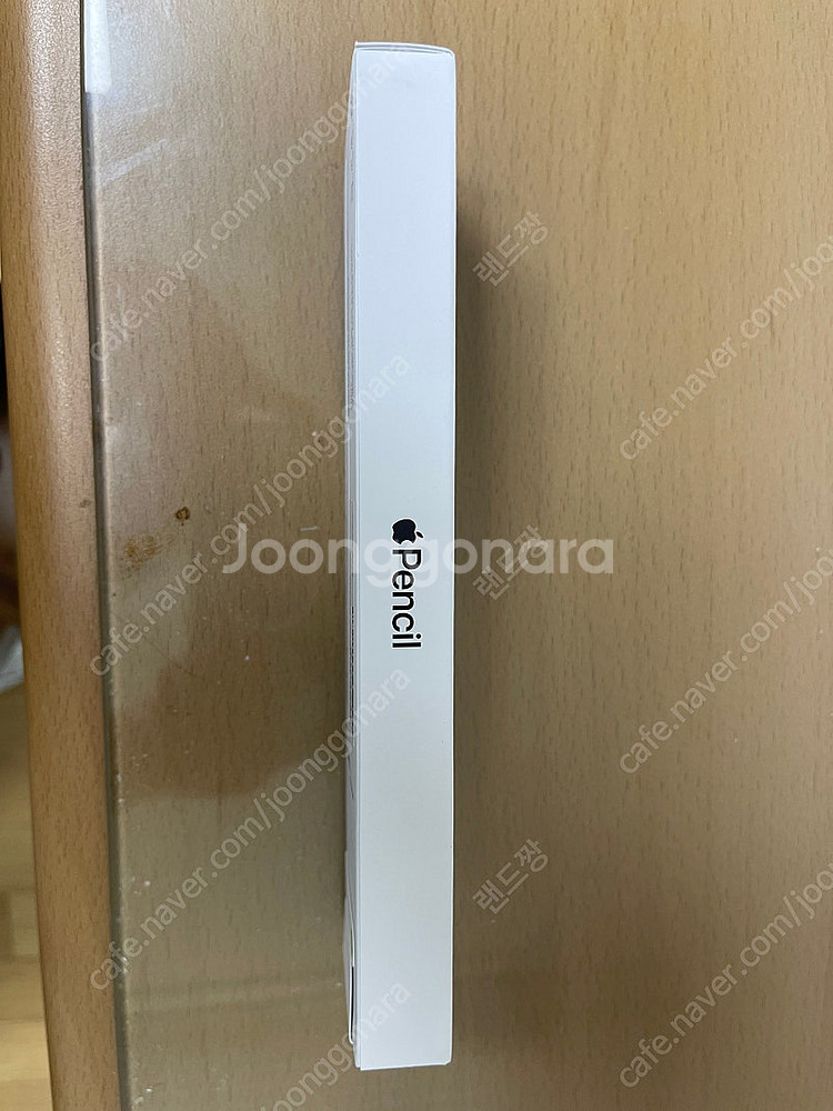 애플펜슬 (USB-C) Apple Pencil (USB...--2
