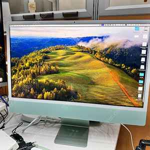 Apple 2021 아이맥 24 2TB