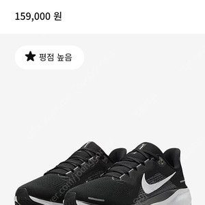 나이키 페가수스 41 남성 로드 러닝화(운동화)