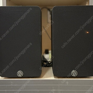 몬어쿠스틱 베토벤하우스 스피커 팝니다.