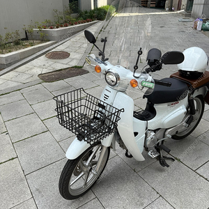 혼다 슈퍼커브 24년식
