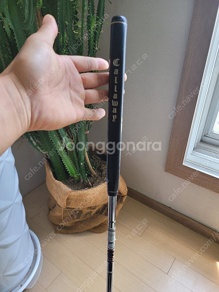 캘러웨이 더 터틀 퍼터--1