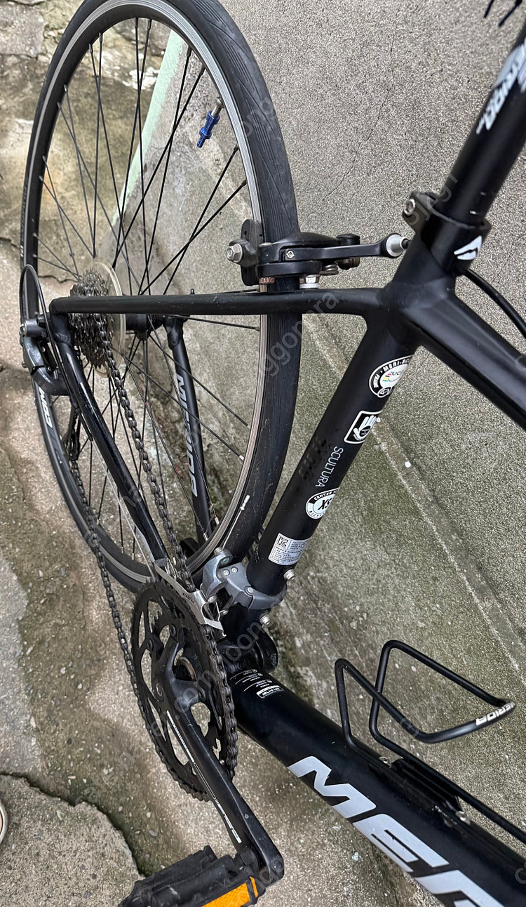 부산 메리다 스컬트라100--5