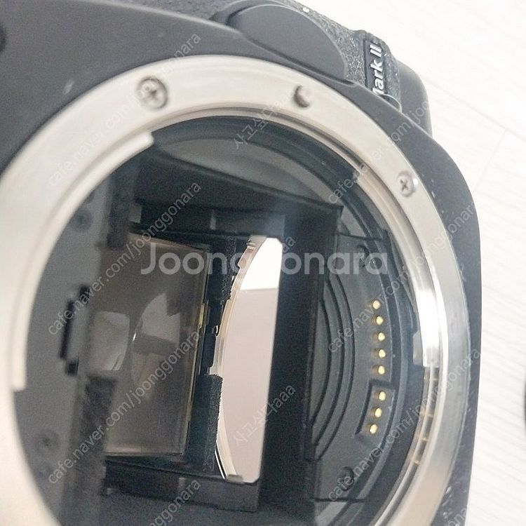 5dmark2 번개장터 그 카메라 입니다--2