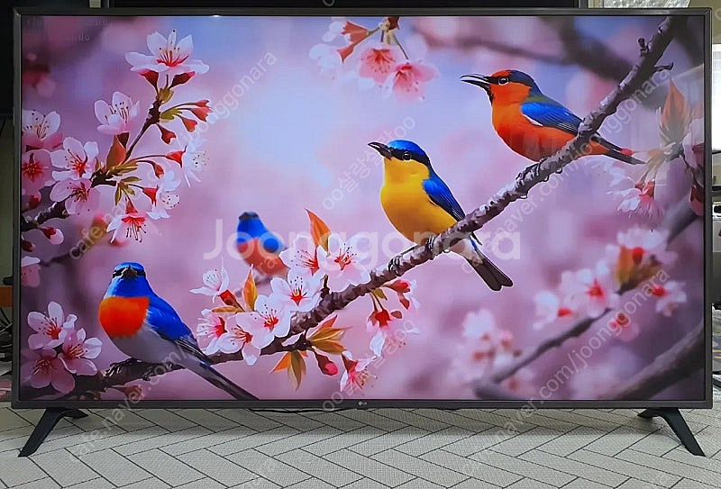 LG전자 75인치 4K Ultra HD 울트라 서라운드...--8