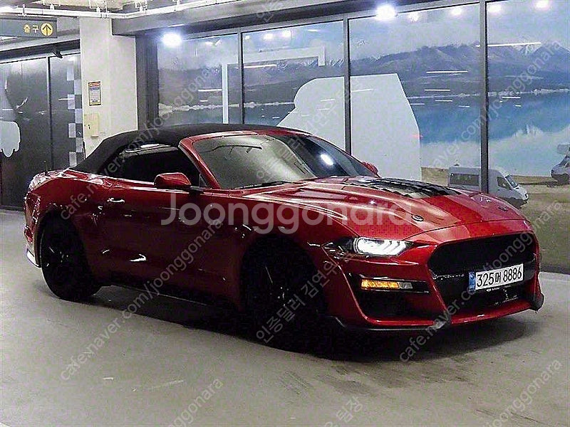 빨간색 포드 머스탱 중고 포드 중고차 GT 컨버터블 중...--6