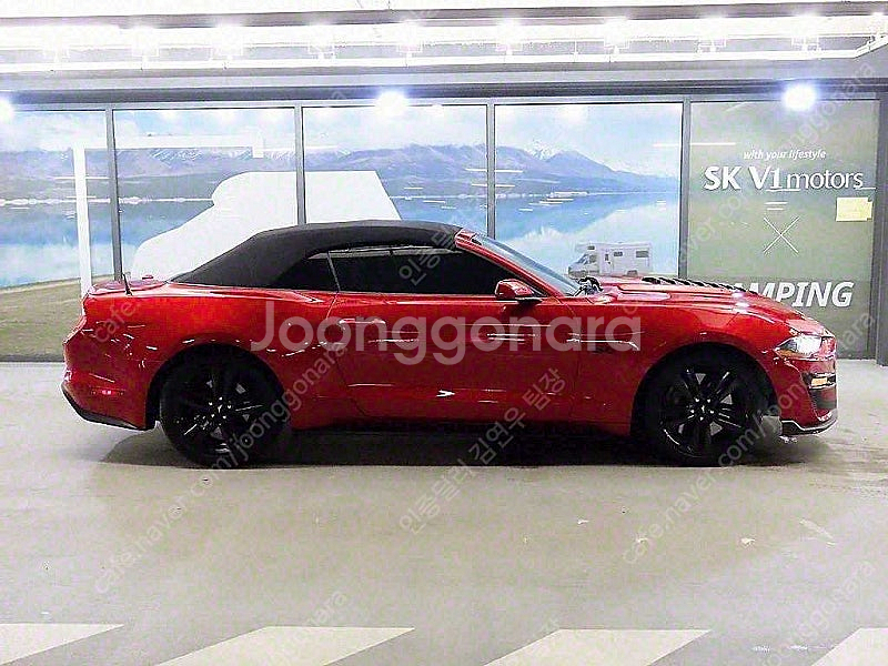 빨간색 포드 머스탱 중고 포드 중고차 GT 컨버터블 중...--8