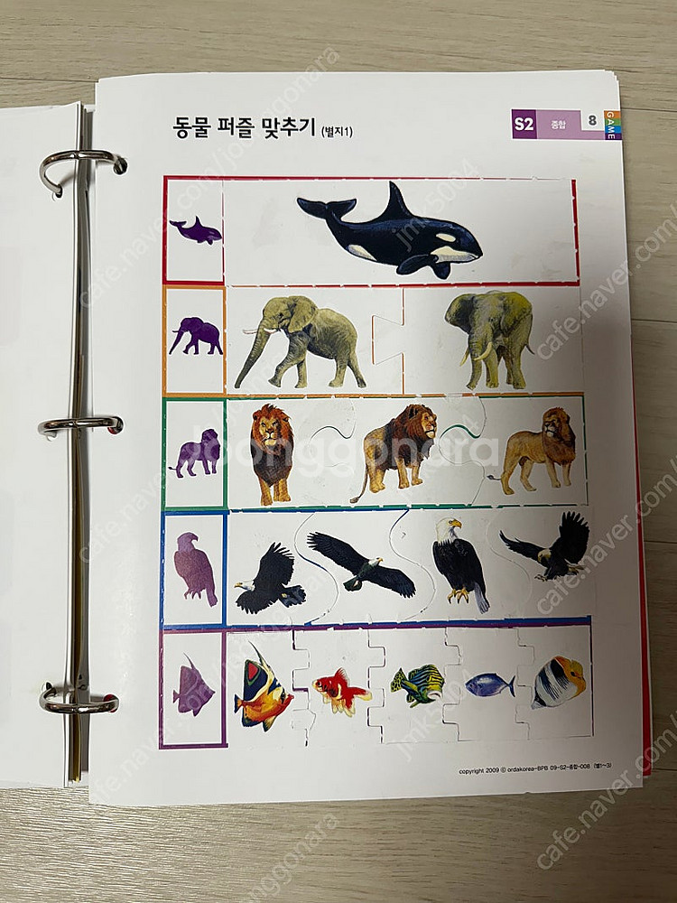 브레인파워빌더스 스텝2 스텝3--1