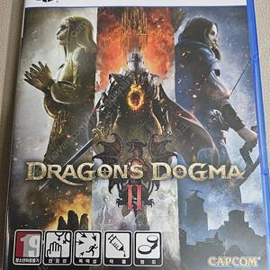 PS5 / 드래곤즈도그마2