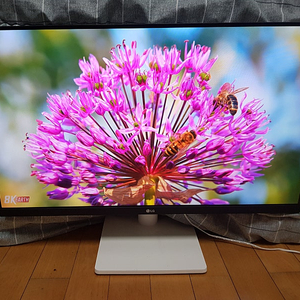 27인치 LG IPS 모니터 LED FHD 모니터 무결점 양천구