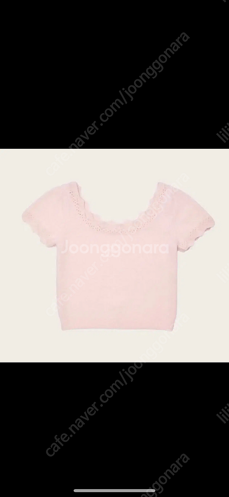 르플레인 몬테 니트--0