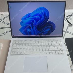 LG gram 16인치 16Z95P-GA7WK