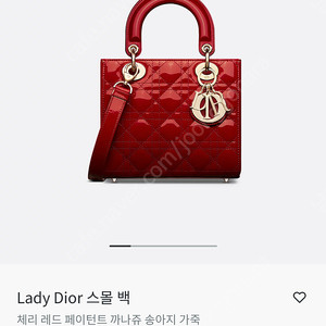디올 레이디백 스몰 체리레드