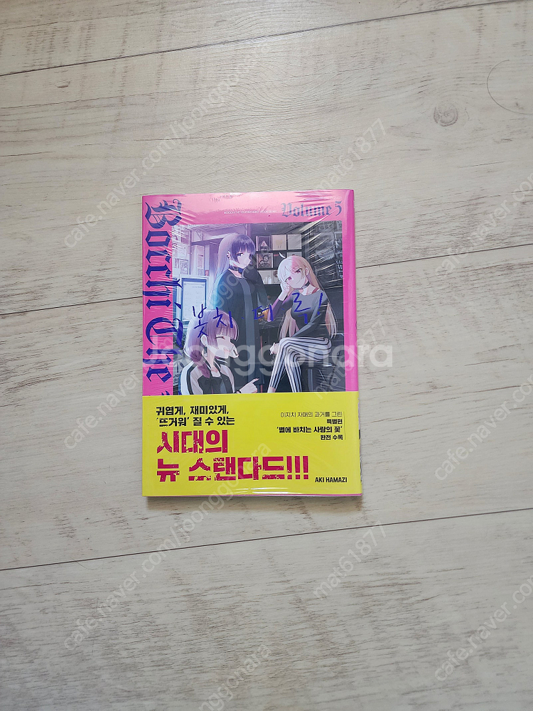 스파이 패밀리 가족의 초상, 봇치 더 락 5권 초회판,...--1