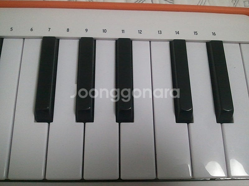 ARTURIA MICROLab 아투리아 마이크로랩 25...--7