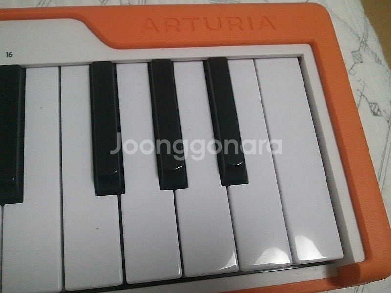 ARTURIA MICROLab 아투리아 마이크로랩 25...--8