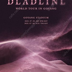 블랙핑크 WORLD TOUR 〈DEADLINE〉 IN GOYANG(2매) - S석 N4구역 16열 연석