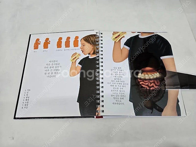 꼬마샘터 첫 발견 시리즈 104권 + 워크북 3권--4