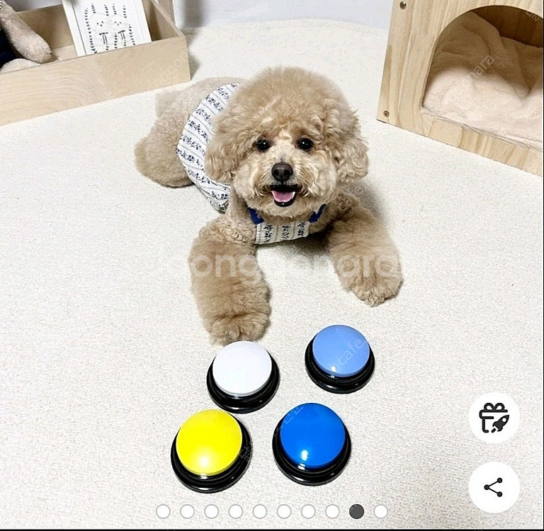 강아지 훈련벨 녹음벨 간식벨 훈련용품--2
