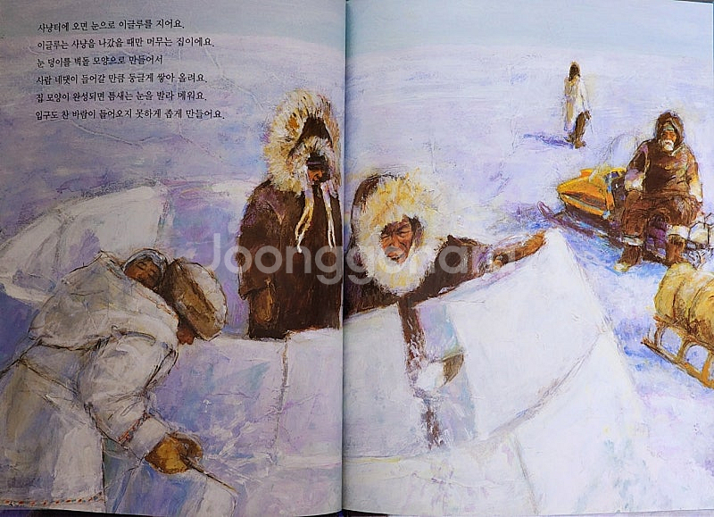 [택포3.8만, 웅진북클럽]첫지식그림책 콩알--5
