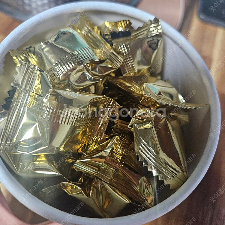 조선비책 발효 침향환--1