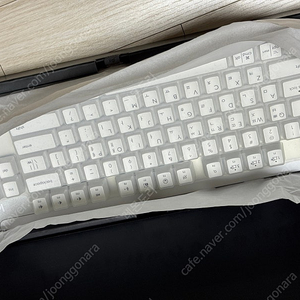 로지텍 SIGNATURE K855 오프화이트