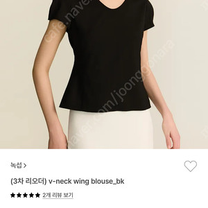 녹섭 브이넥 윙 블라우스 블랙 v-neck wing blouse black