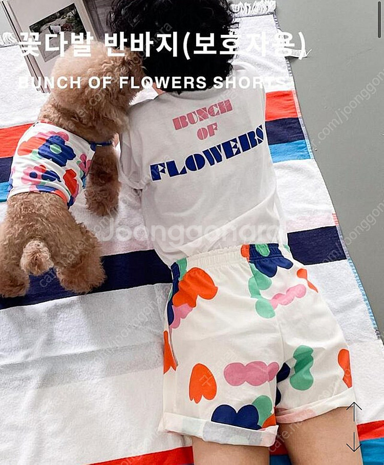 꼬떼아꼬떼 보호자용 꽃다발 반바지 m--0