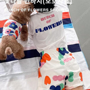 꼬떼아꼬떼 보호자용 꽃다발 반바지 m