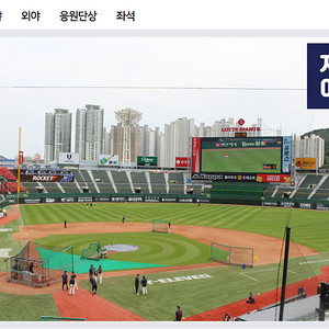 [사직] 롯데 야구 티켓(6.17.~6.22.) 양도