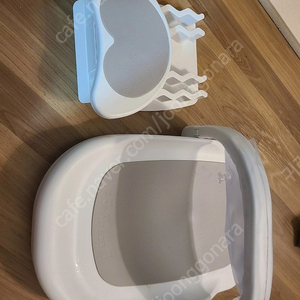 포프베베아기비데