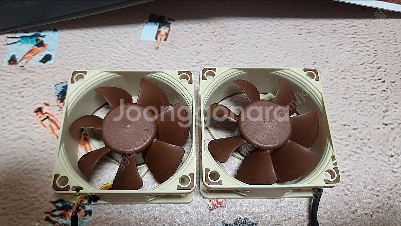 녹투아 60mm 팬 NF-A6x25 FLX 3핀 택포--1