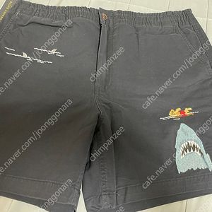 폴로 프렙스터 상어