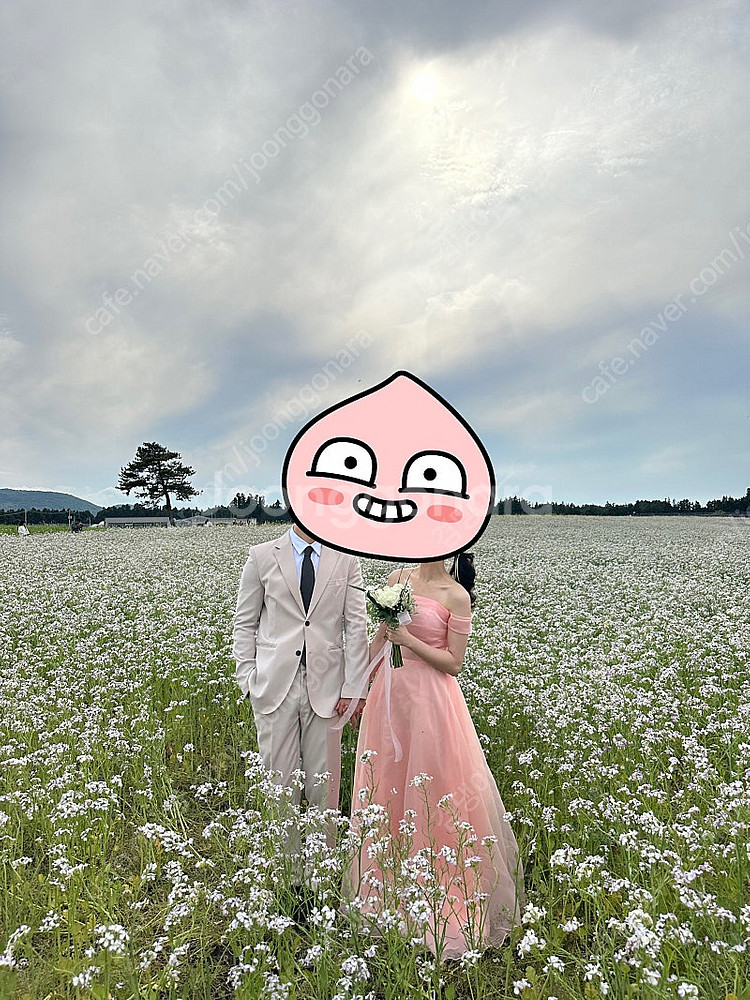 스냅드레스 유색드레스 웨딩드레스 2부드레스 오간자실크(...--0