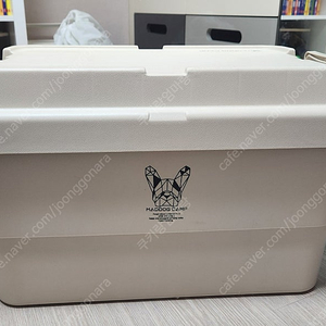 매드독카고박스50L