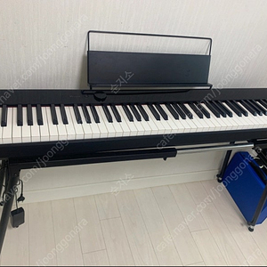 카시오피아노 디지털피아노 카시오 PX-S1100 A급 pxs1100