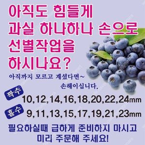 "블루베리 수동선별기" 판매
