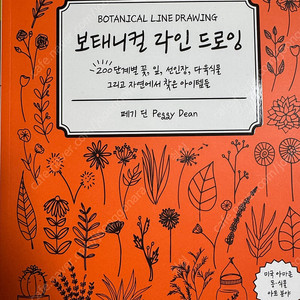 보태니컬 라인 드로잉 식물 그리기 책 택포