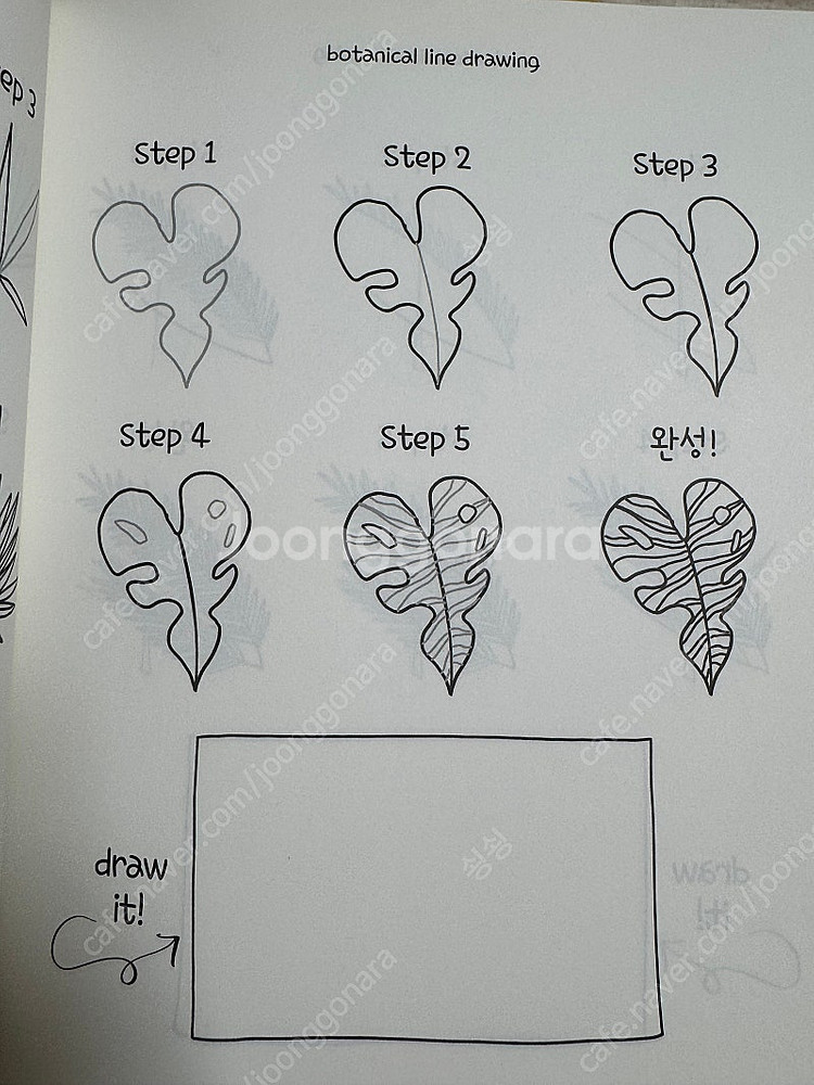 보태니컬 라인 드로잉 식물 그리기 책 택포--1