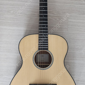 헥스(HEX)f100 기타