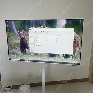 플스5프로 구해요