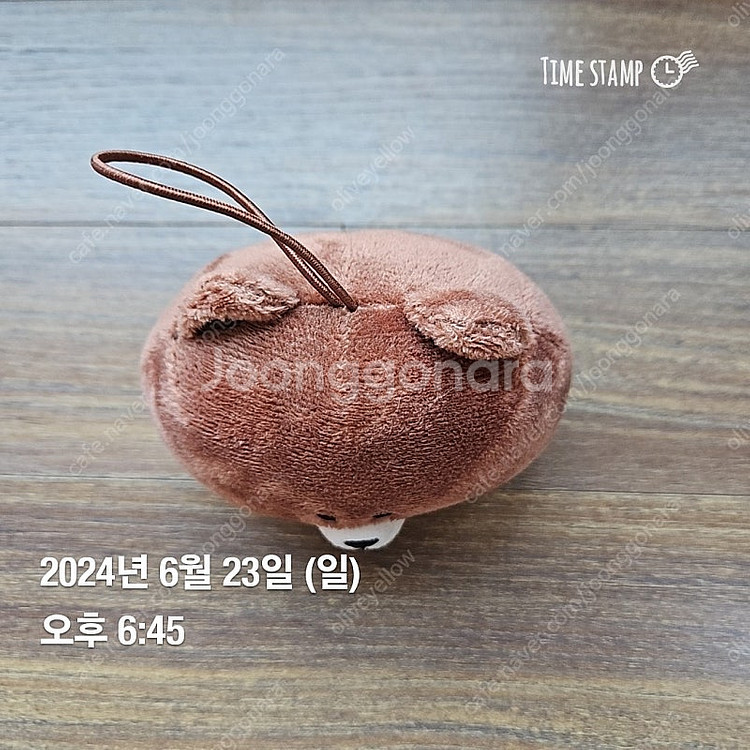 라인프렌즈 브라운 키링--3