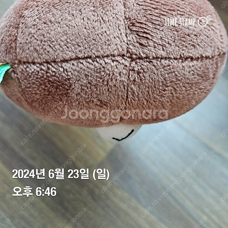 라인프렌즈 브라운 키링--4
