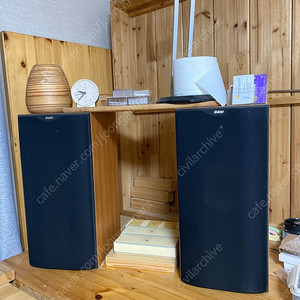 B&W DM602 S2 + REGA Brio 엠프