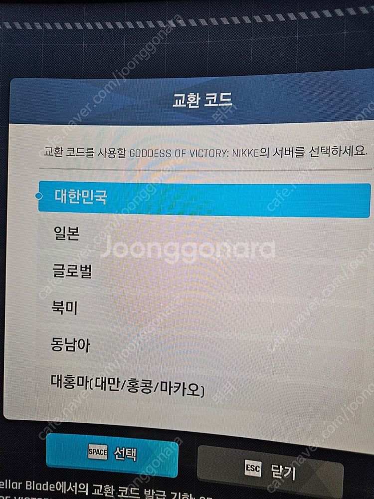 스텔라블레이드 니케 코드 판매합니다 서버선택가능--0