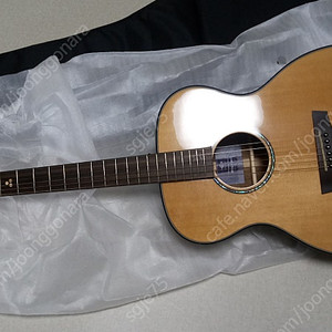 헥스 HEX Sting F350 G 어쿠스틱 기타 팝니다.