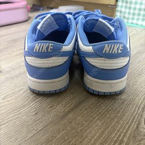 덩크 유니버시티블루 265