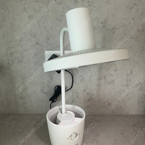 발뮤다 더라이트 화이트